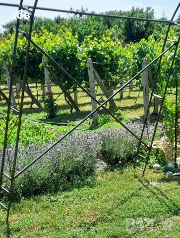 Оранжерия 4х8 м. ,височина 3м. ,Парник, снимка 10 - Оранжерии - 50917108