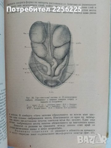 Основи на гинекологията , снимка 6 - Специализирана литература - 47482425