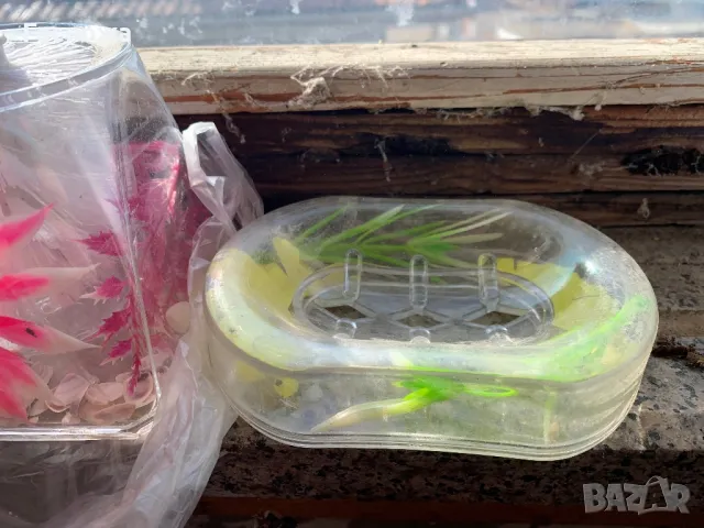 Пластмасови сапунерки, четки за тоалетна и подтавки за четки за зъби, снимка 2 - Други - 49800155