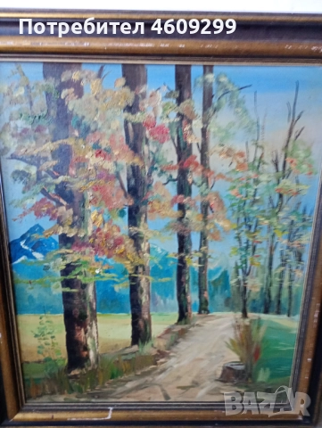 Голяма маслена картина!, снимка 4 - Картини - 52260432