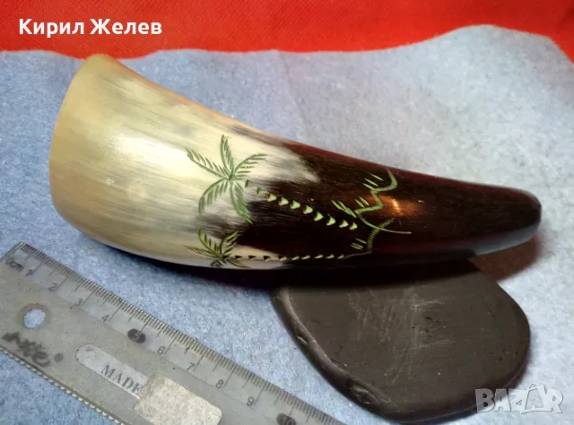 Стар БИВОЛСКИ РОГ РЪЧНО ГРАВИРАН с ПАЛМИ За КОЛЕКЦИЯ ДЕКОРАЦИЯ ДОМАШНА УКРАСА 47836