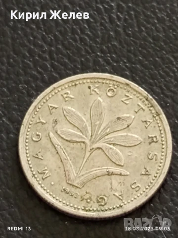 Шест монети от цял свят УНГАРИЯ, РУМЪНИЯ, НИДЕРЛАНДИЯ за КОЛЕКЦИЯ 47401, снимка 3 - Нумизматика и бонистика - 51399338