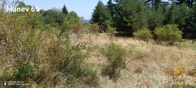 Продавам парцел на Пампорово - Поповото.🌲, снимка 2 - Парцели - 51463923
