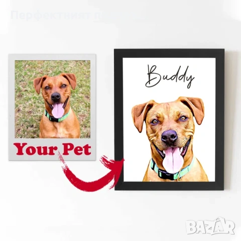 Комикс портрет на домашен любимец, стратхотен вариант за подарък