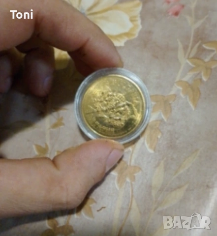 Колекция монети и значки, снимка 5 - Нумизматика и бонистика - 53328531