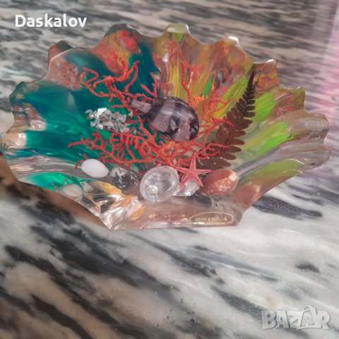 Продавам декоративна мида , снимка 5 - Други ценни предмети - 41355211