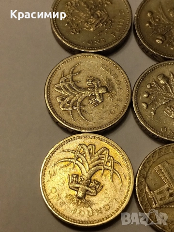 Монети Елизабет 1 паунд , снимка 7 - Нумизматика и бонистика - 51852105