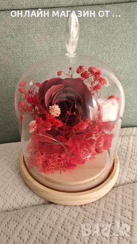 Вечна Роза в стъкленица, снимка 4 - Романтични подаръци - 48576996