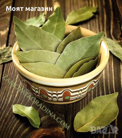 Дафинов лист, снимка 7 - Градински цветя и растения - 53649892