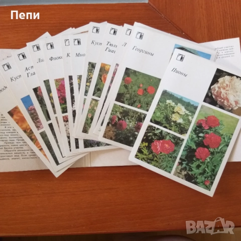 Комплект, каталог за цветя, снимка 2 - Други ценни предмети - 52221302