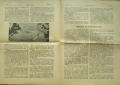 Святъ и наука. Год. 1: Бр. 10-11 / Год. 2: Бр. 4, 6, 7 / 1934, снимка 3