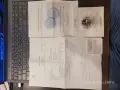 Монета Голям гмурец 2022 , снимка 2