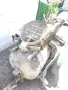 Машина за замазки, снимка 1