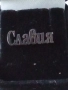 Значка с името Славия 60680, снимка 5