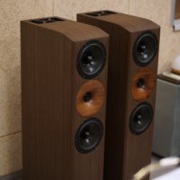 SLAudio SVS TL, снимка 3 - Тонколони - 41762944