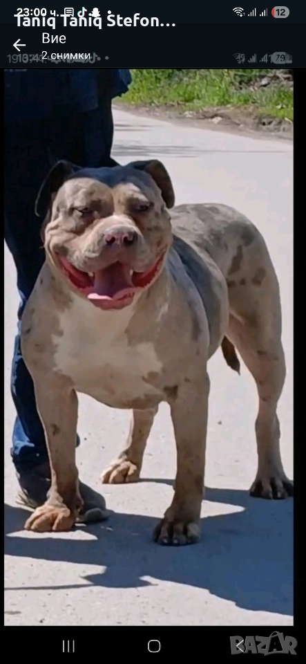 американско були женска свободна, снимка 1