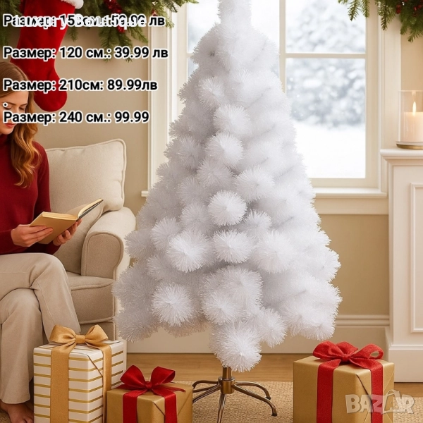 Бяла елха, снимка 1