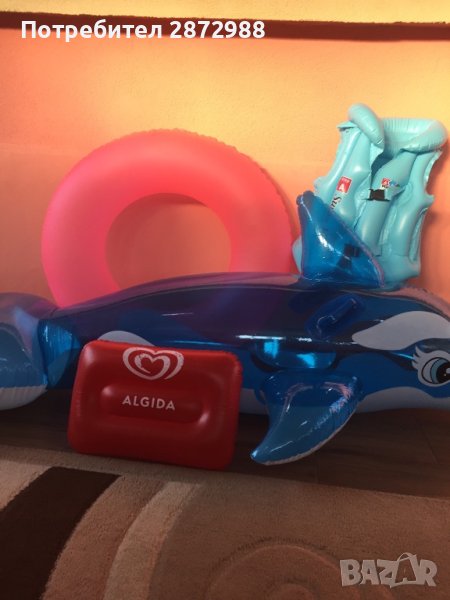 Делфин,пояс и жилетка, снимка 1