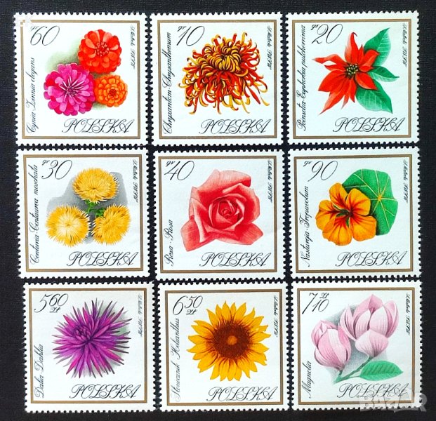 Полша, 1966 г. - пълна серия чисти марки, цветя, 4*9, снимка 1