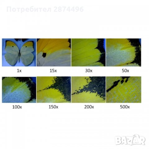 1134 USB дигитален микроскоп с 1000х и 8 LED светлини, снимка 5 - Друга електроника - 35819214