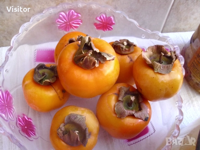 фотоапарат BenQ DC C1035 - 10.2 МРх, снимка 9 - Фотоапарати - 52805808