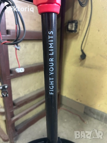 Боксова круша, снимка 2 - Бокс - 53828023