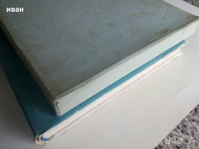 Албум "Die Schönheit der Frau in der europäischen Malerei - Götz Eckardt 1973 г., снимка 11 - Колекции - 35965675