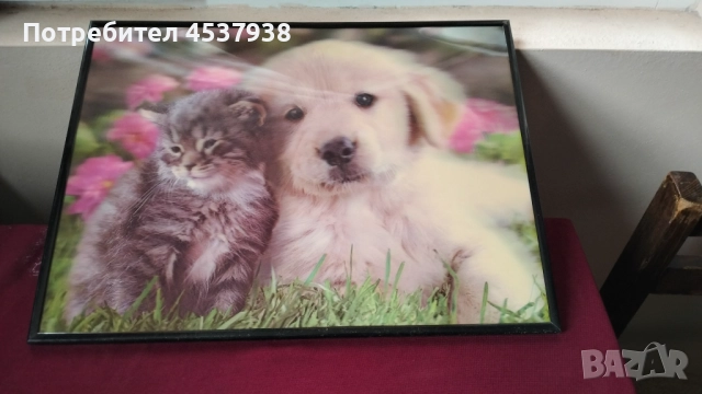 Продавам декоративна 2 D картина