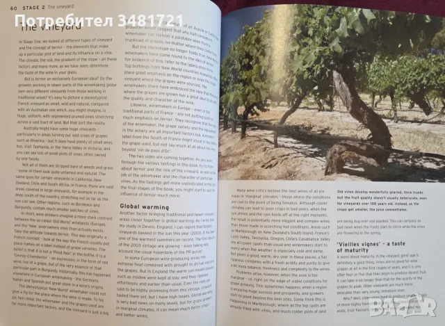Wine Wisdom. A Complete Wine-Тasting Course, снимка 8 - Кулинария - 55817387