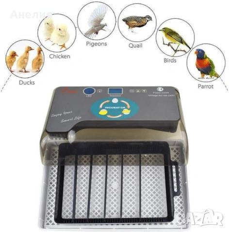 Автоматичен инкубатор за 12 яйца – Лесен за употреба YZ9-12, снимка 4 - Други стоки за дома - 53354517