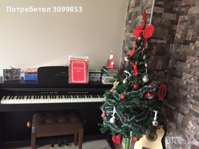 пиано Хемингуей, снимка 2 - Пиана - 52474942