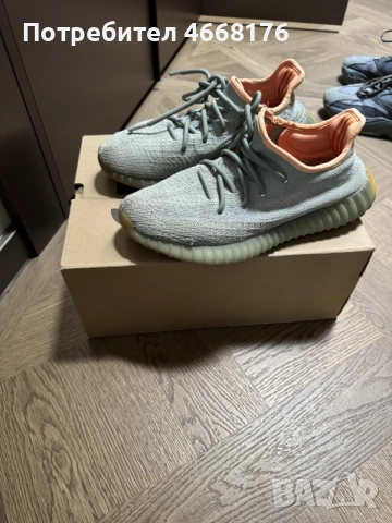 Adidas Yeezy 350 / 500