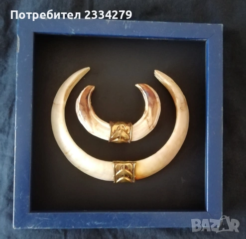 Рога от саръндаци и зъби от диво прасе, 70-80те години, снимка 12 - Колекции - 52583206