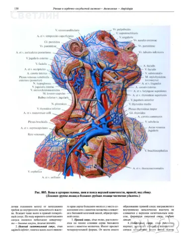 Продавам Руски атласи по медицина., снимка 8 - Електронни книги - 48460842