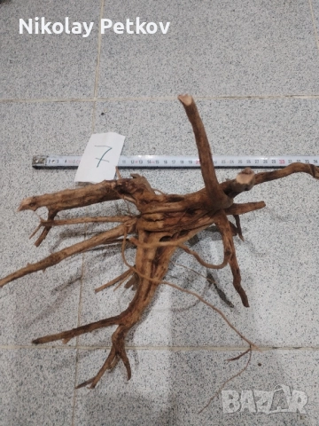 Корени за аквариум, терариум, паладиум , снимка 7 - Аквариуми - 44083269