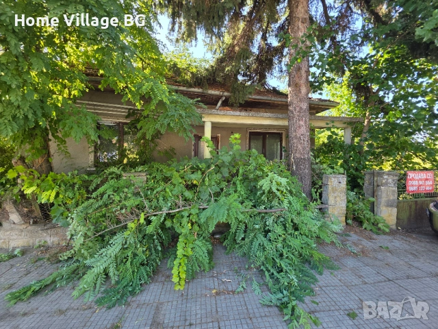 Просторна къща за ремонт или събаряне, обл.Силистра, снимка 14 - Къщи - 53231264