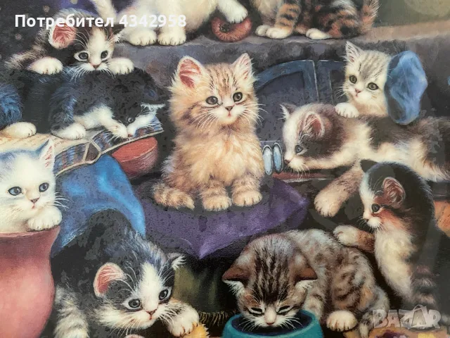 Колекционерска порцеланова чиния „Unsere kleinen Lieblinge“ – Kahla / Bradex, 1996 г., снимка 3 - Други ценни предмети - 55925931