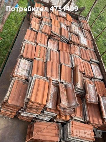 Продавам киремиди здрави , снимка 3 - Питбул - 53680534