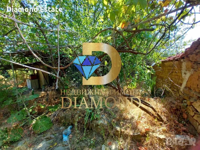 Парцел в село Александрово, обл. Хасково, снимка 7 - Парцели - 50936176