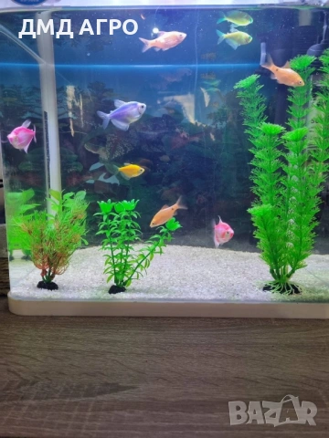 Аквариум , снимка 3 - Аквариуми - 53478564