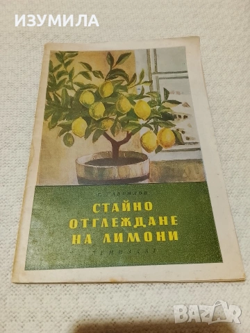 Стайно отглеждане на лимони - Г. Гаврилов