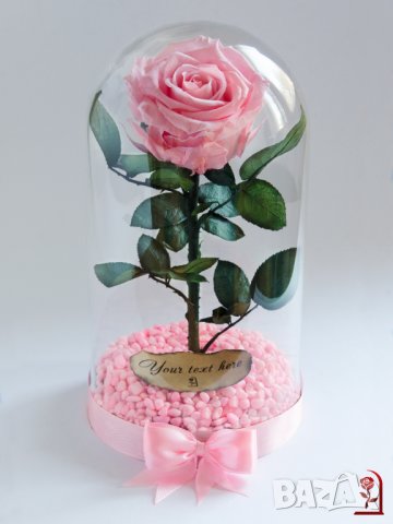 Подарък за Рожден ден на Жена / Истинска Розова Роза в Стъкленица / Жива Вечна Роза, снимка 5 - Декорация за дома - 34646479