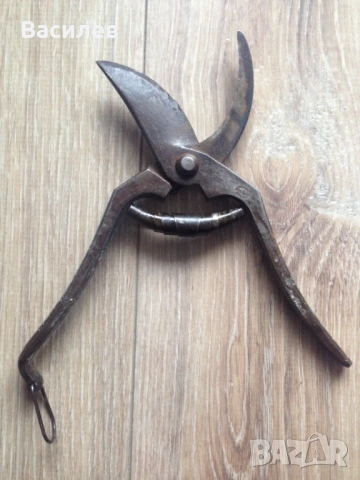 Solingen Hugo Linder оригинални немски лозарски градински ножици Солинген, снимка 5 - Други инструменти - 53469947