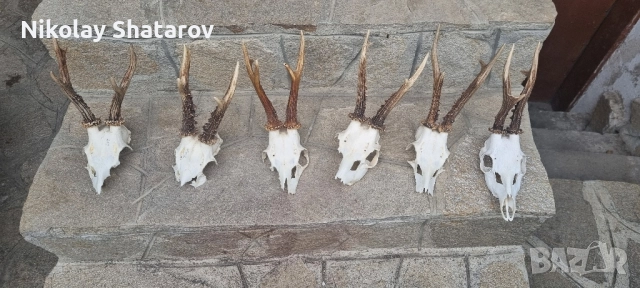 Трофеи от съръндак 