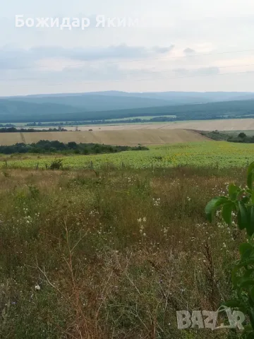 Парцел Бяла, област Варна, снимка 9 - Парцели - 50363074