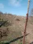 Лозе под Осми Пост, снимка 8