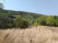 Парцел с. Прекръсте , снимка 2