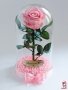 Подарък за Рожден ден на Жена / Истинска Розова Роза в Стъкленица / Жива Вечна Роза, снимка 5