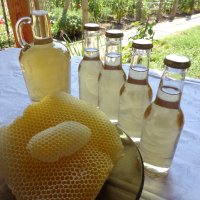 Оцет от пчелен мед, 5% киселинност, снимка 6 - Пчелни продукти - 38487253