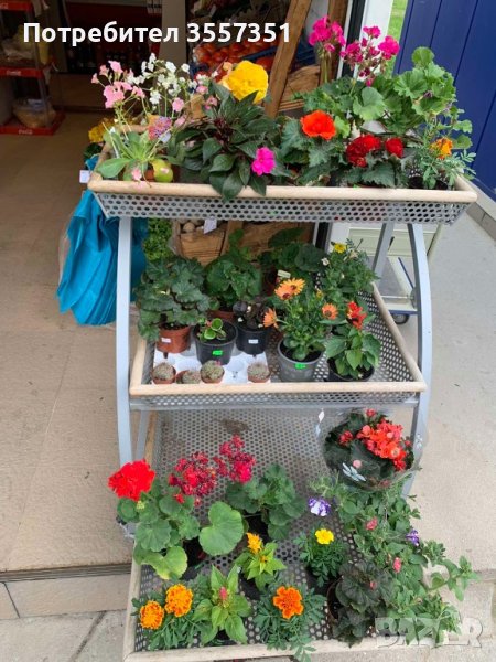 Стелажи с колела, снимка 1